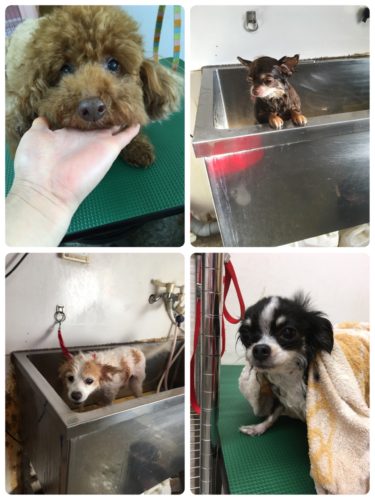 07e6e354-5b21-425a-966a-3f1f627ca891