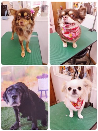 18-01-13-18-22-37-193_deco