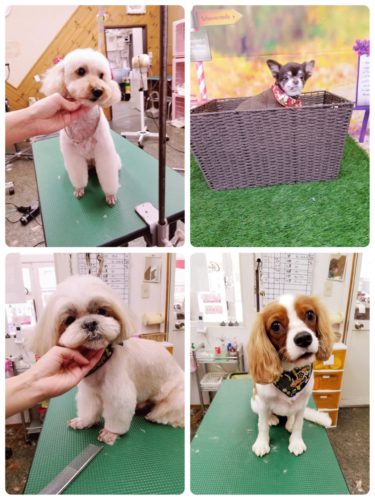 19a3938f-9b65-4896-bd0d-e5c072d7669a