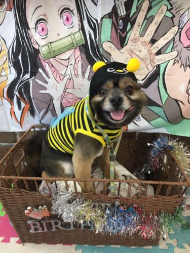 d1b97009-9398-4510-bb9d-4360d4dec071