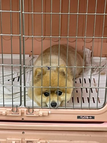 45c2285d-6611-4a24-bc10-3cf4668c9c06