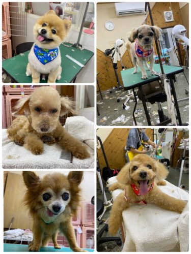 6f50acb1-f8b6-4301-95a7-e0d1a6c62fc2