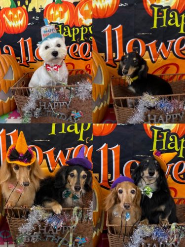 0b602343-8f6f-43f3-8d1a-7eae8636288e