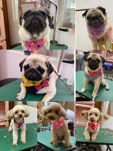 b90d668c-1625-449f-b95c-a6b102b5e1a7